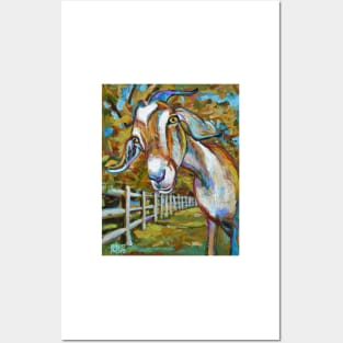 Wilbur the Handsome Goat Posters and Art